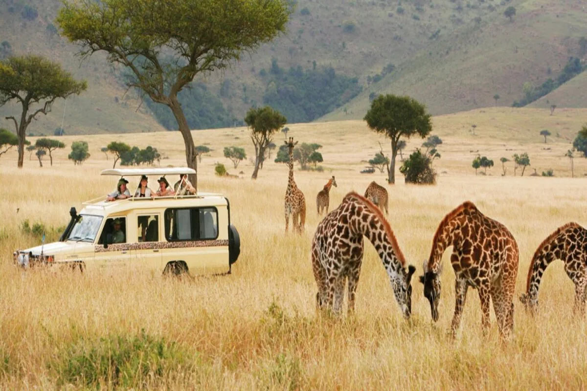 The Ultimate Safari Packing List You Need to Know